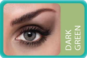 Bausch+Lomb Lacelle Tri-Kolor DARK GREEN