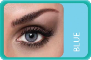 Bausch+Lomb Lacelle Tri-Kolor BLUE