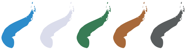 Bausch+Lomb Lacelle Tri-Kolor Renk Seçenekleri Bausch+Lomb Lacelle Tri-Kolor Renk Seçenekleri