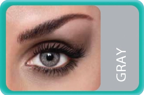 Bausch+Lomb Lacelle Tri-Kolor GRAY